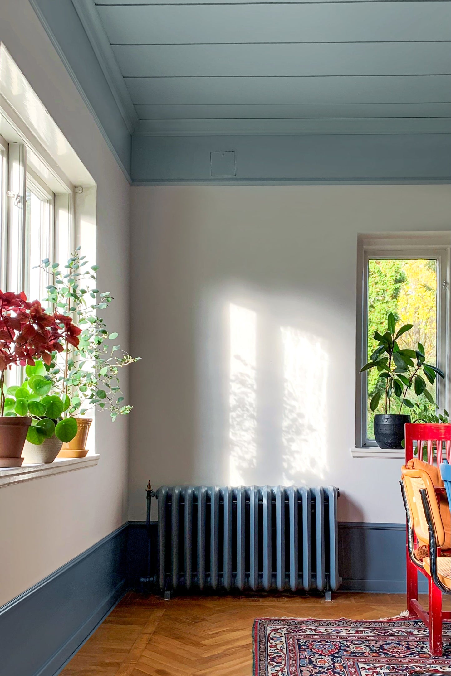 Modanatura per soffitti polistirene DP22