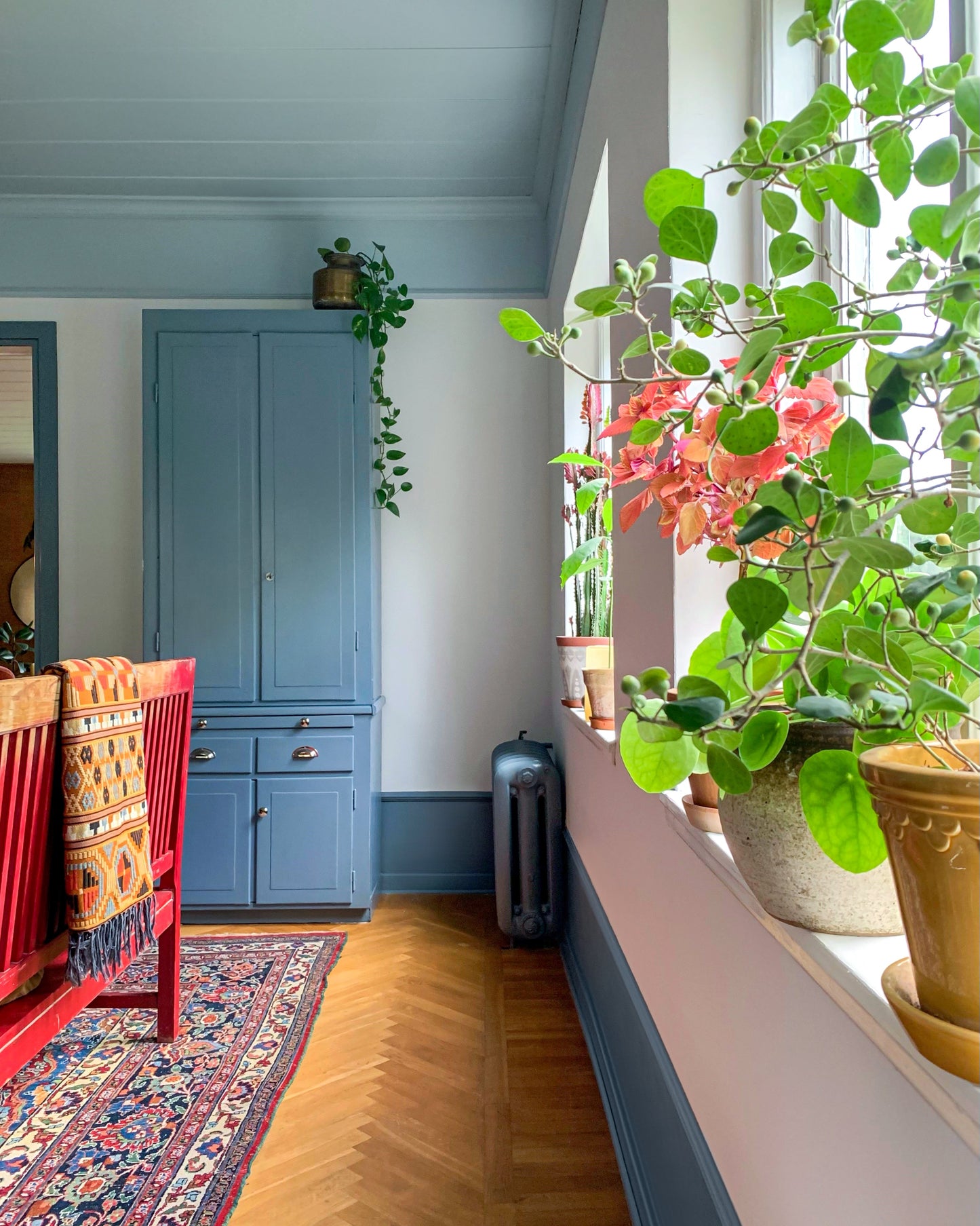 Modanatura per soffitti polistirene DP22