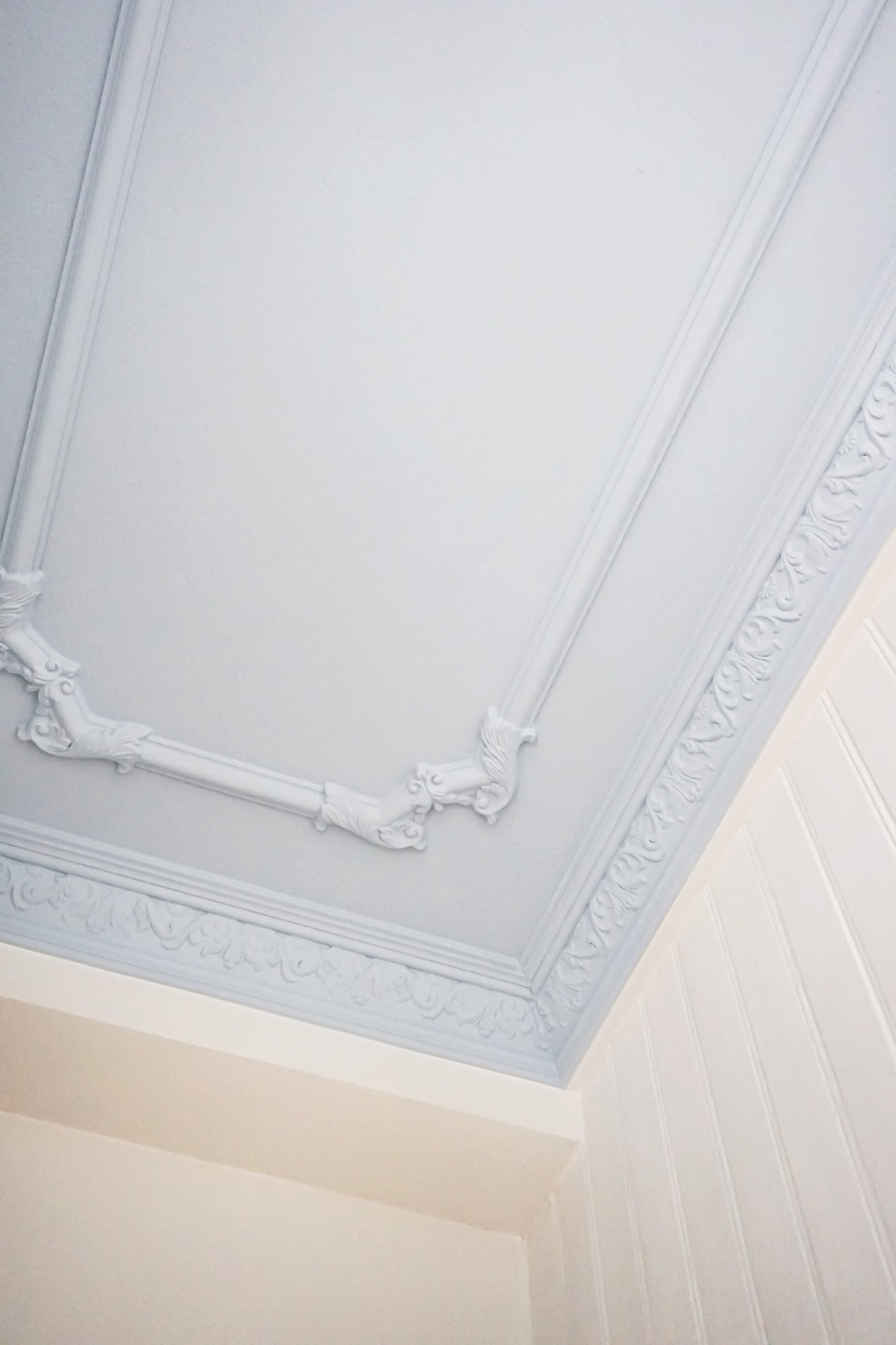 Modanatura per pareti Z350