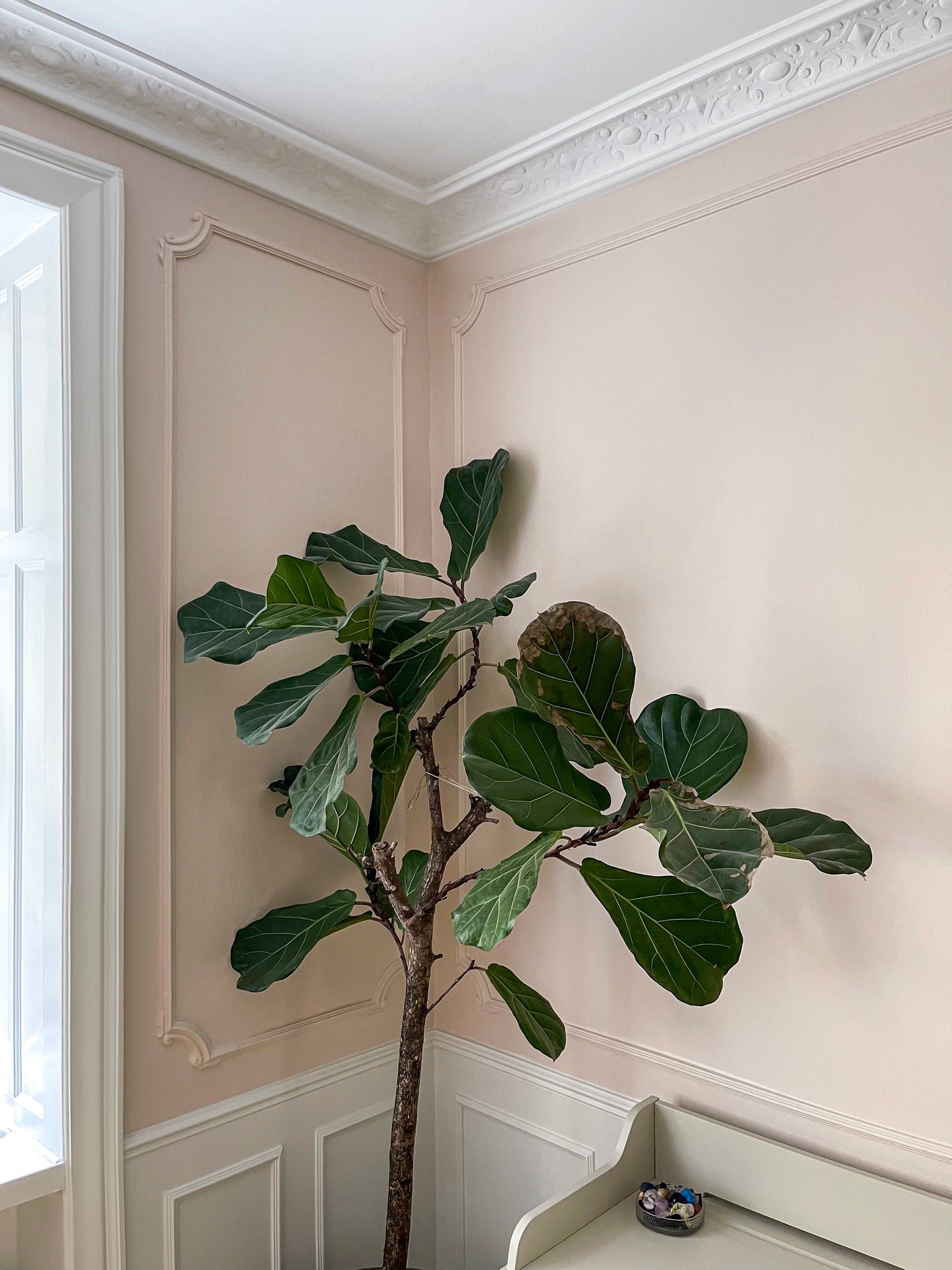 Modanatura angolare HL354-4