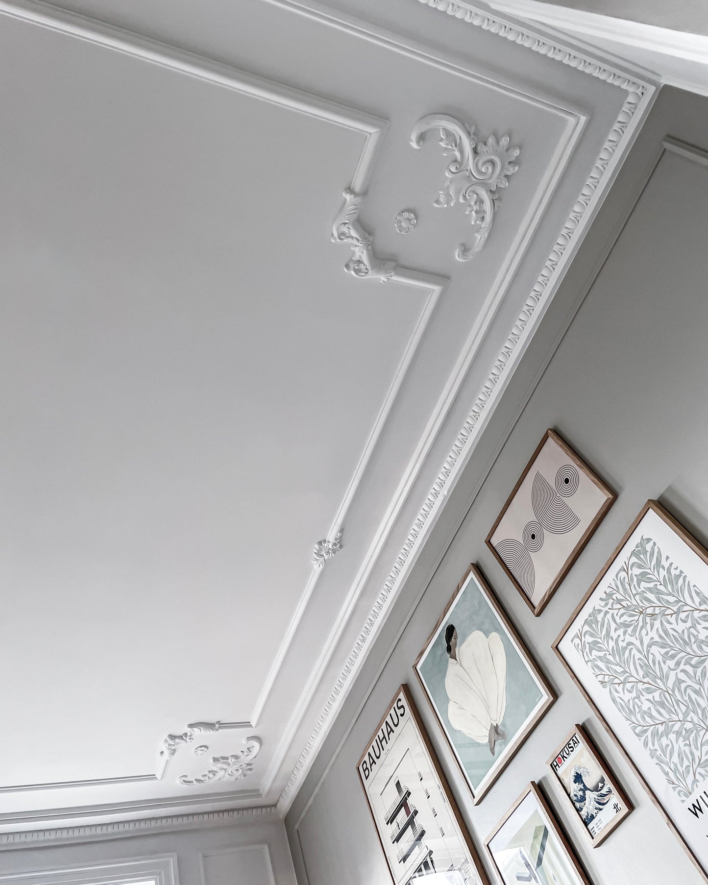 Modanatura per pareti Z350