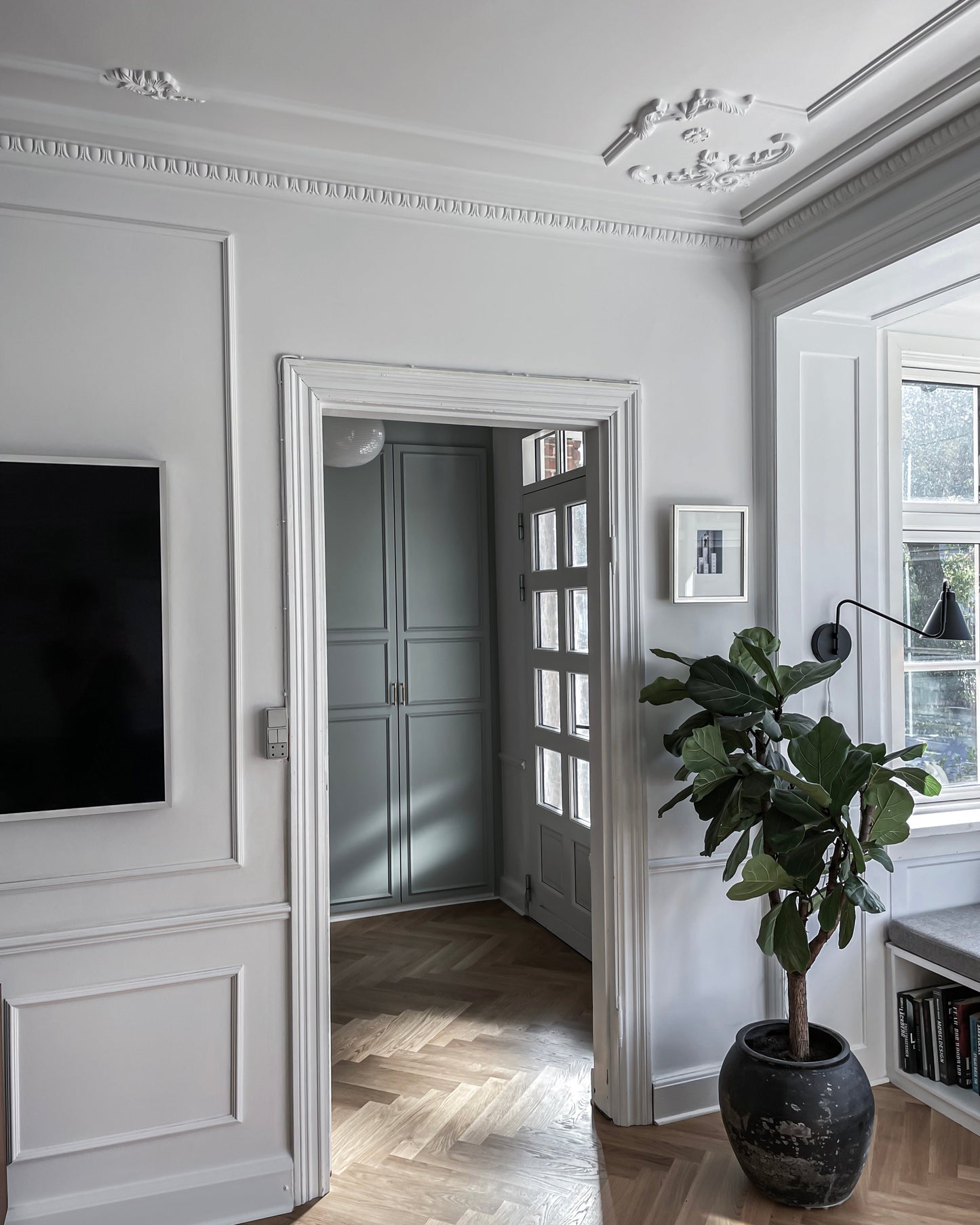 Modanatura per pareti Z350