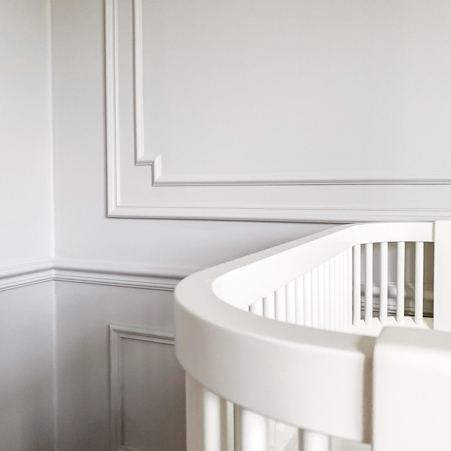 Modanatura per pareti Z357