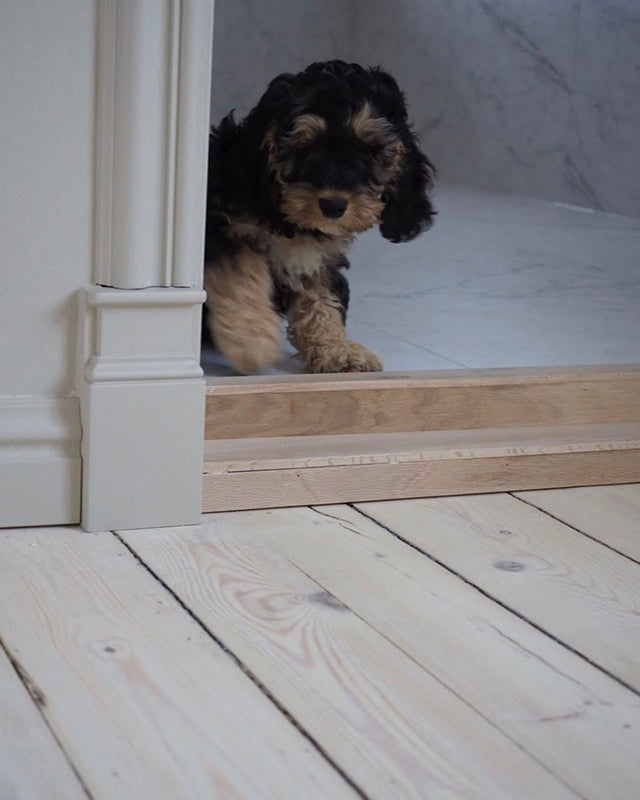 Modanatura per pareti Z367